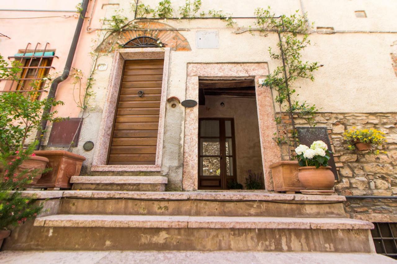 Le Dame Del Borgo Lejlighed Sassetta Eksteriør billede